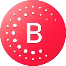 Bernafon Encanta 100 (2 Units)